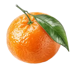 Imagen PNG para descargar